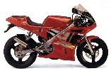 Derbi GPR50R
